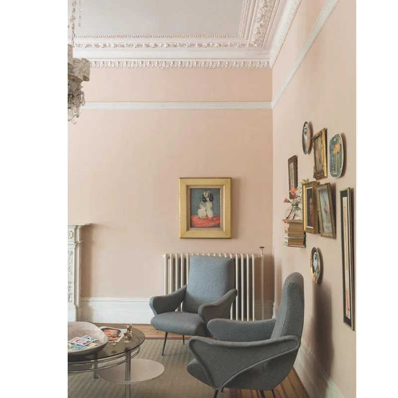 Farrow & Ball  Estate Emulsion  Setting Plaster 231 - Image 3