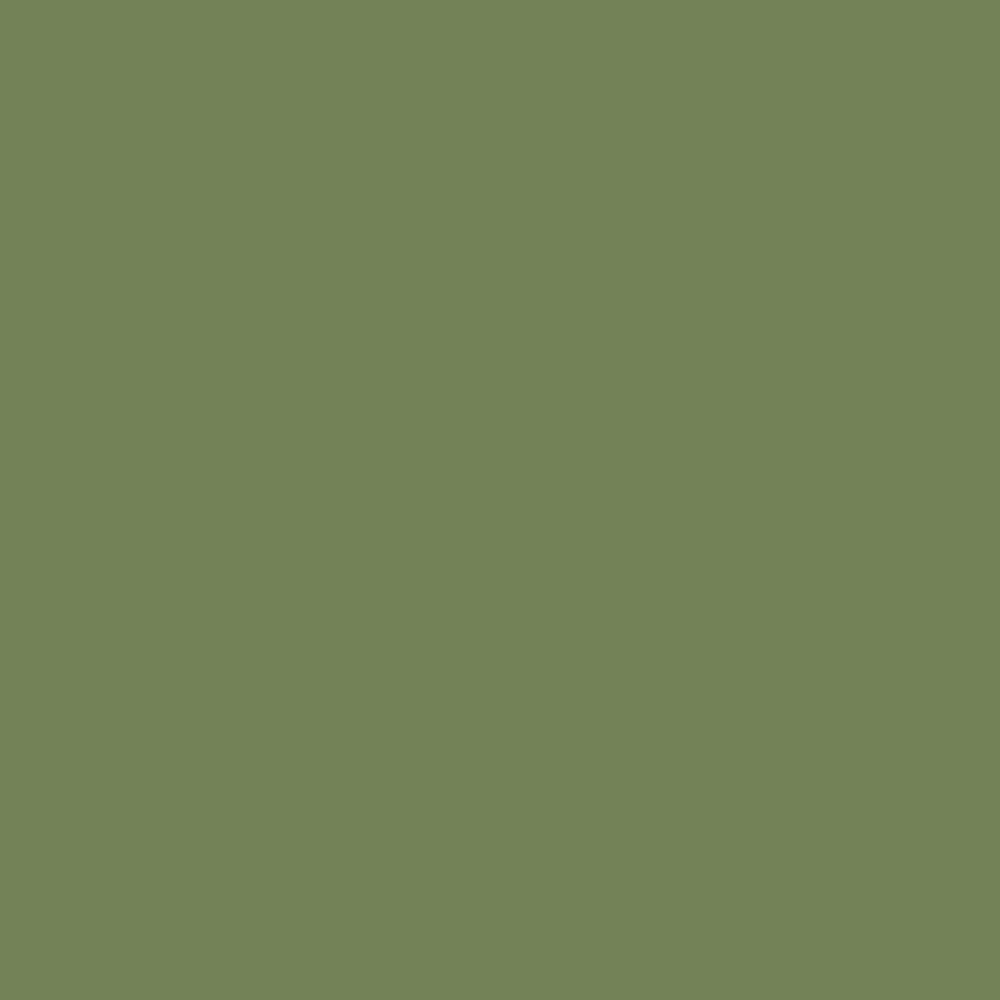Farrow & Ball  Dead Flat  Sap Green 199 - Image 4