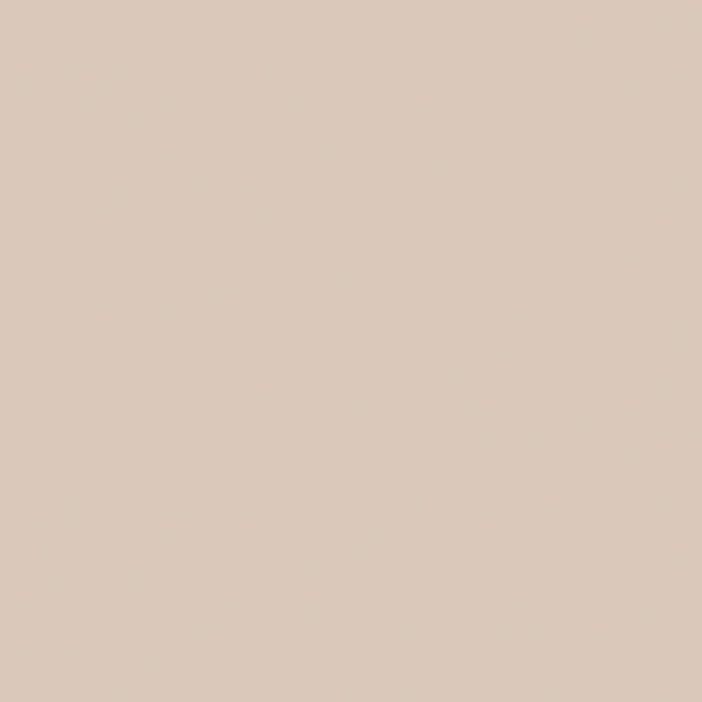 Farrow & Ball  Dead Flat  Scallop 311 - Image 3