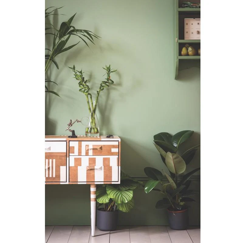 Farrow & Ball  Estate Emulsion  Breakfast Room Green 81 - Image 3