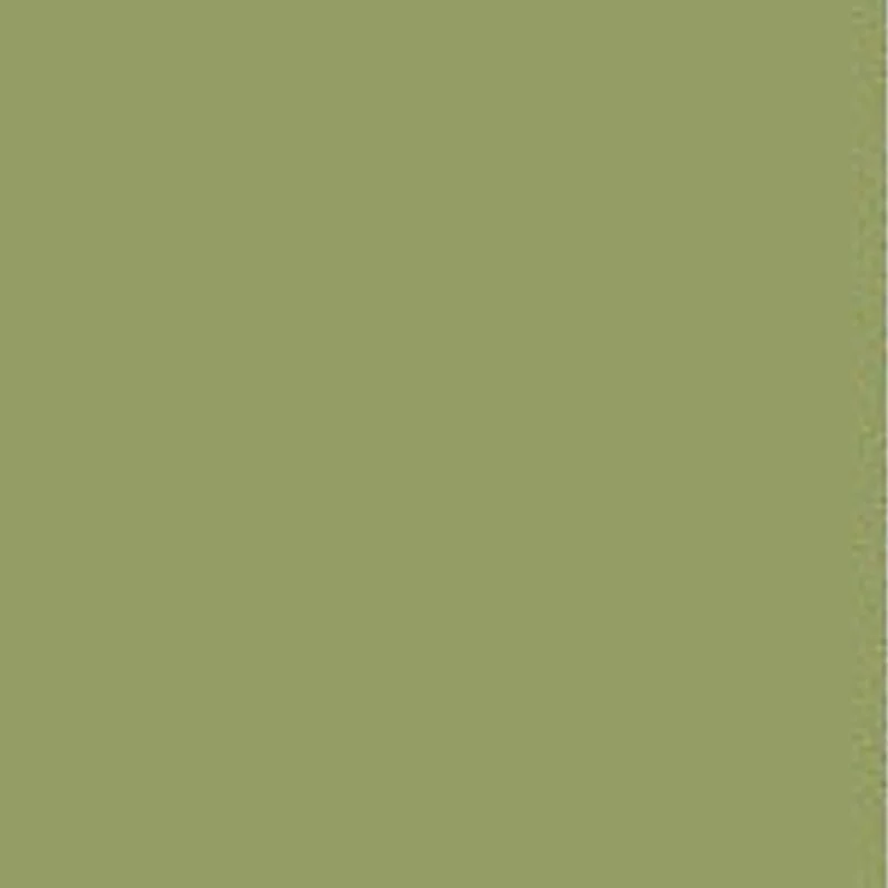 Farrow & Ball  Estate Emulsion Archive  Olive 13 - Image 2