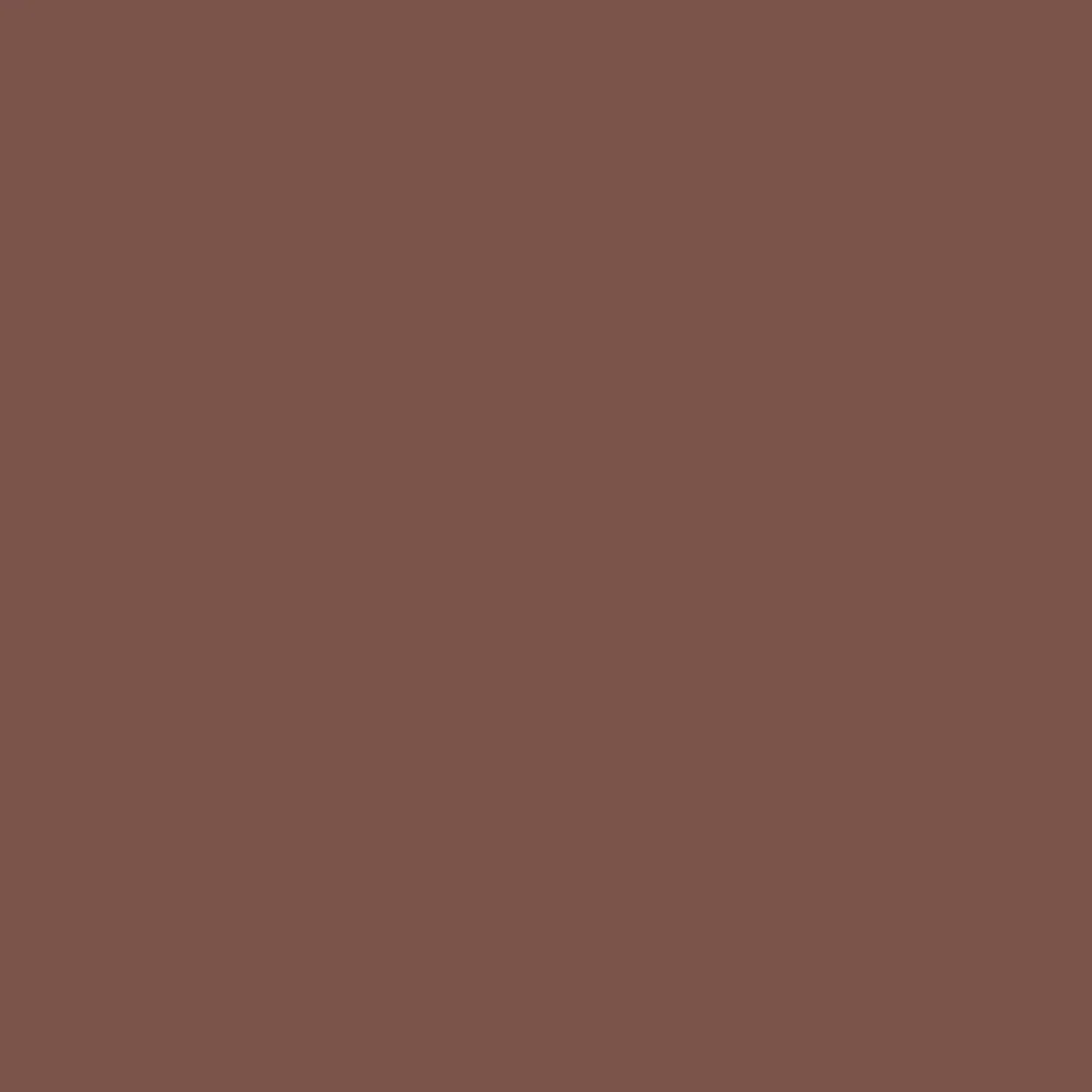 Farrow & Ball  Dead Flat  Etruscan Red 56 - Image 4