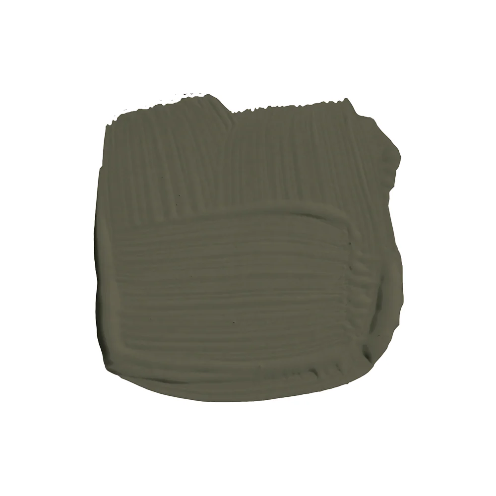 Farrow & Ball Exterior Eggshell Reduced Green 313 - Image 2