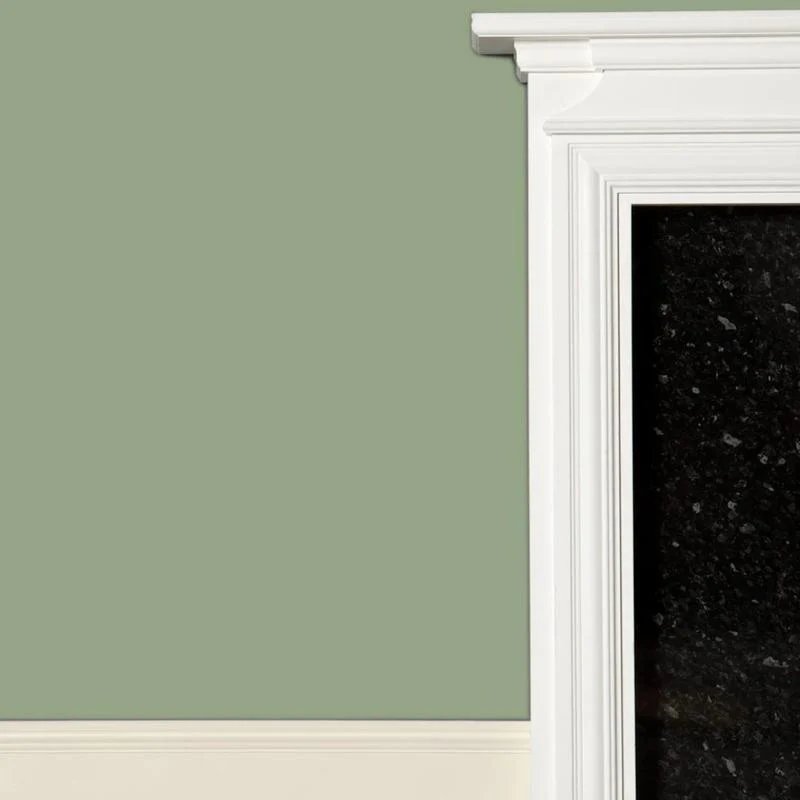Farrow & Ball  Modern Emulsion  Lichen 19 - Image 2