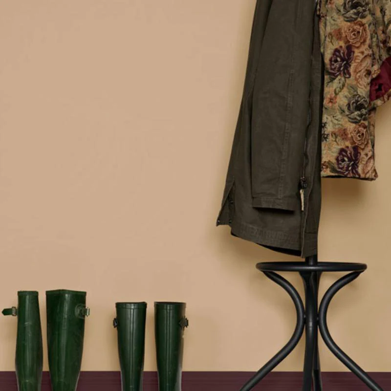 Farrow & Ball  Modern Emulsion  Smoked Trout 60 - Image 2