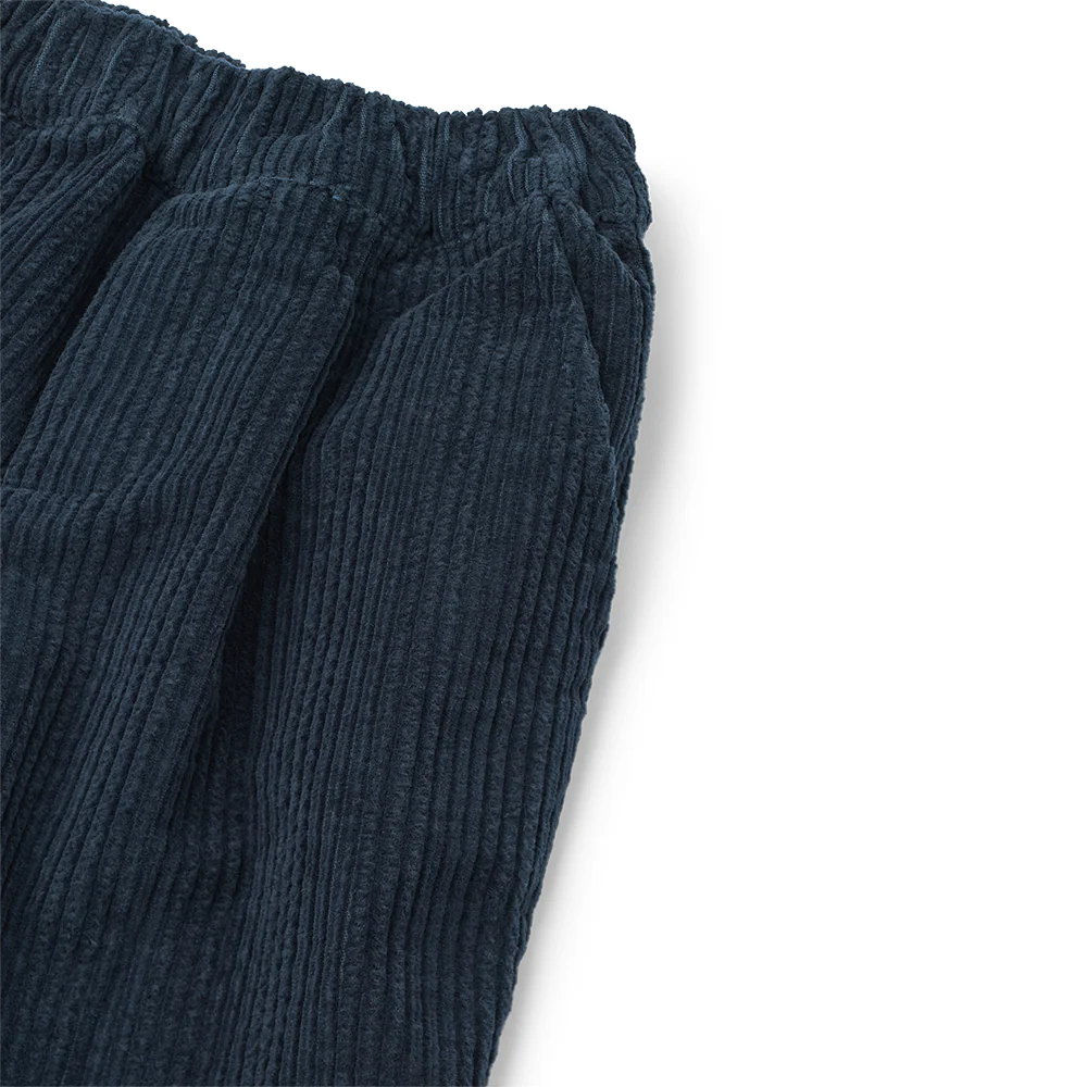 Liewood Cordhose 'Borris' Classic Navy - Image 3