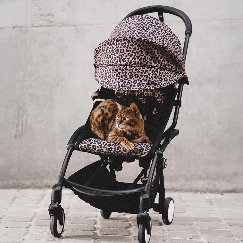 Stokke YOYO³ 6+ 'Wild Collection' Black/Leopard - Image 7